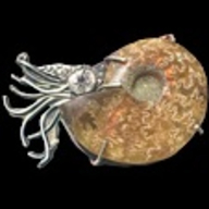 Picture of Prong Setting