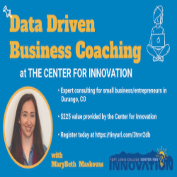Picture of Data Driven Business Coaching