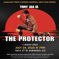 Picture of "The Protector" - Martial Arts Film Series in Durango