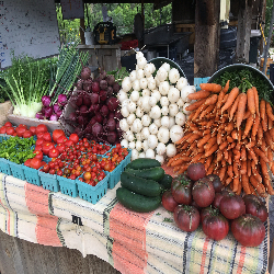 Picture of Twin Buttes Farm Stand
