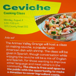 Picture of Ceviche Cooking Class 