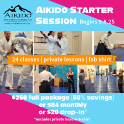 Picture of Open Registration for Aikido Starter Session