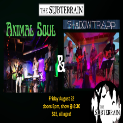 Picture of Live Local Music!
