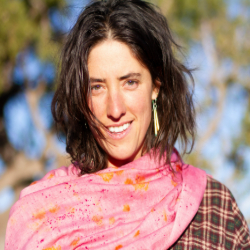 Picture of The Energetics of: A Soul-led Therapeutic Practice 
