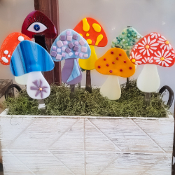 Picture of Fungi & Friends: A Fused Glass Happy Hour Workshop