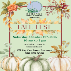 Picture of Fall Fest