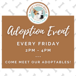 Picture of Friday Pet Adoption Event with Parker's Animal Rescue