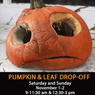 Picture of Pumpkin Drop-off and Leaf Collection