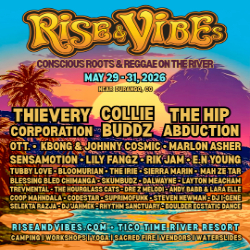 Picture of Rise and Vibes Music Festival