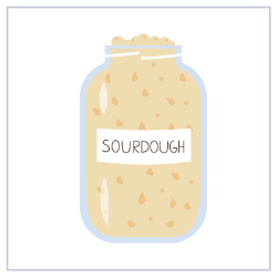 Picture of Getting Started with Sourdough