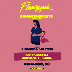 Picture of Flamingosis with DJ Harry & DJ Matteo