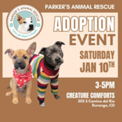 Picture of Parker's Animal Rescue Adoption Event