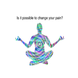 Picture of Pain Care Yoga by Donation