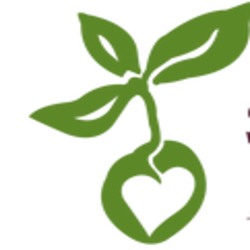 Picture of Women's Wellness Series – Final Workshop