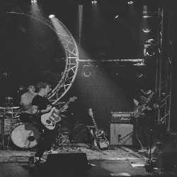 Picture of Ragged Oak