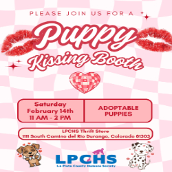 Picture of Puppy Kissing Booth