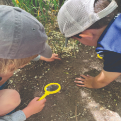 Picture of Open House - Gametime Childcare Information Session