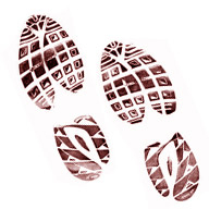 Picture of Colorado's Wolf Restoration