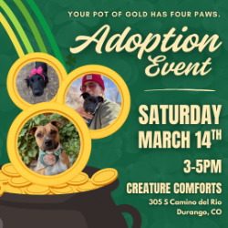Picture of Dog Adoption Event - Find Your Lucky Match
