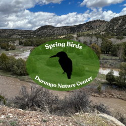 Picture of Spring Birds Outing