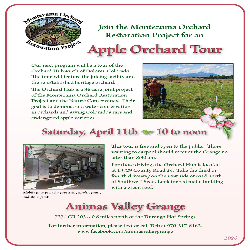 Picture of Orchard Hub Tour
