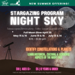 Picture of Stargazing Night Sky