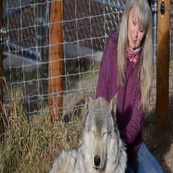 Picture of Mini Calm & Balance Energy Session for You and Your Dog