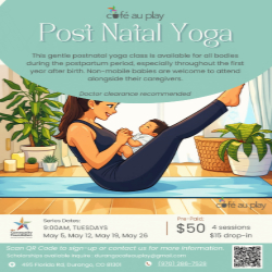 Picture of Postnatal Yoga Session