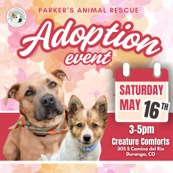 Picture of Dog Adoption Event