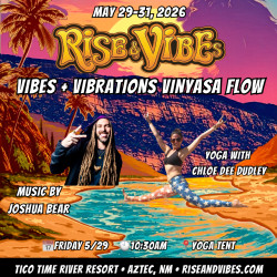 Picture of Vibes + Vibrations Vinyasa Flow Yoga