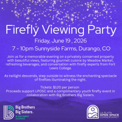Picture of Firefly Viewing Party