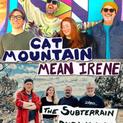 Picture of Live Local Music! Mean Irene & Cat Mountain