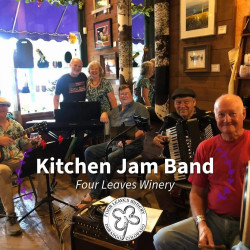 Picture of Irish Music by The Kitchen Jam Band