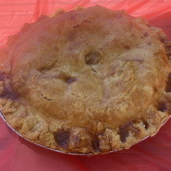 Picture of Oscar's Cafe Pie Eating Contest