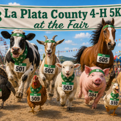 Picture of 5K Run at the Fair