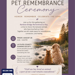 Picture of Community Pet Remembrance Ceremony