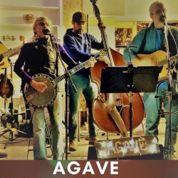 Agave @ Durango OKtoberfest
