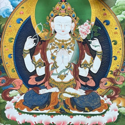 Meditations on Compassion
