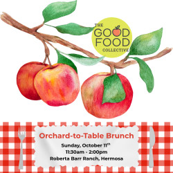 Orchard-to-table Brunch
