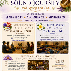 Open Heart Sound Journey