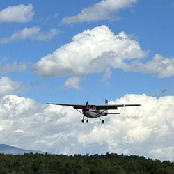 Animas Palooza "When Pigs Fly"