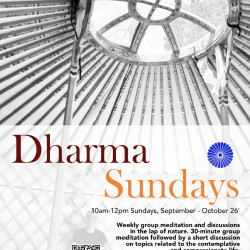 Dharma Sundays