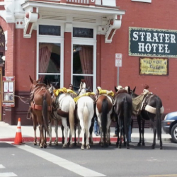 Durango Cowboy Gathering - Andy Nelson