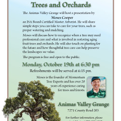 Caring For Our Trees & Orchards