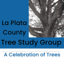 La Plata County Tree Study Group monthly meeting